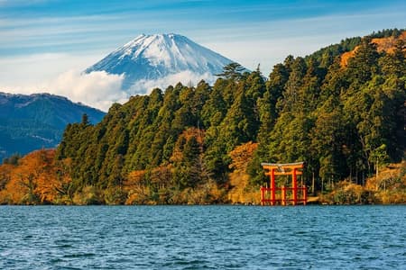 Customizable Private Full Day Hakone Tour by car