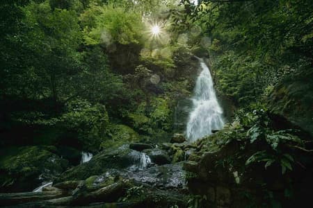 Gedeeld Mtirala Nationaal Park Avontuur vanuit Batumi