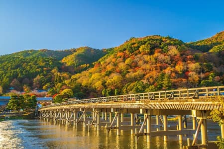 From Osaka or Kyoto: Kyoto and Nara 1-Day Bus Tour