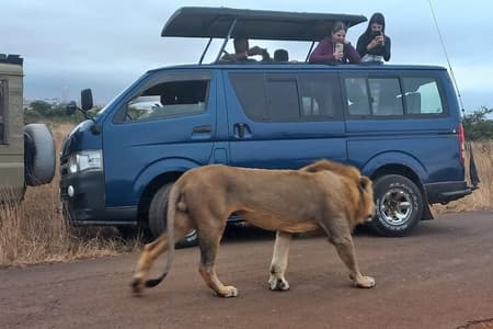 Visite guidée d'une demi-journée du parc national de Nairobi