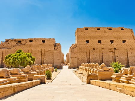 Visit to the Temple of Karnak - Half-Day Tour