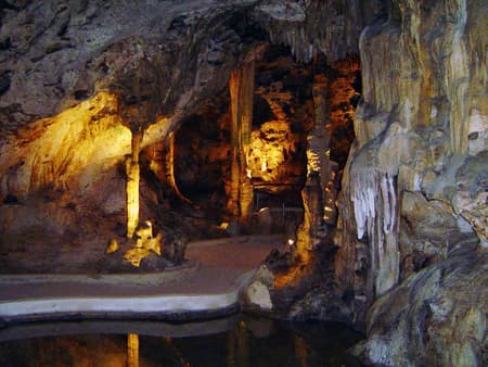 Ostrich Farm and Hato Caves Tour