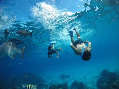 Snorkel in Cozumel: Palancar, Colombia and El Cielo Reefs