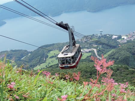 Mount Fuji and Hakone - Full-Day Tour (Return by motorcoach)
