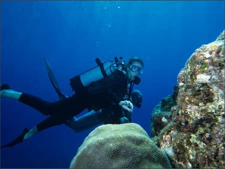 Discover Scuba Diving Course In Koh Samui