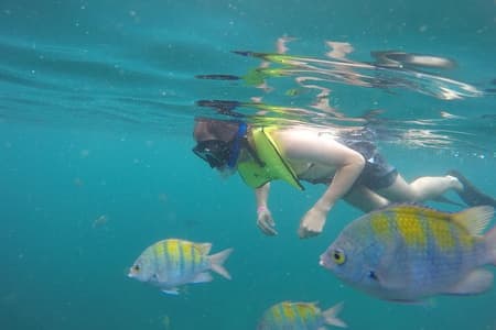 Dagtrip naar Calypso's Tortuga-eiland vanuit San José