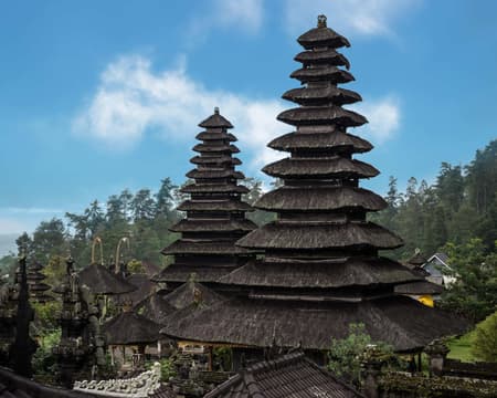 Inter City Full Day Tour - Ubud-Lovina