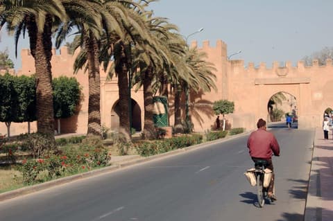 Oasis del Sur, Conducción por cuenta propia