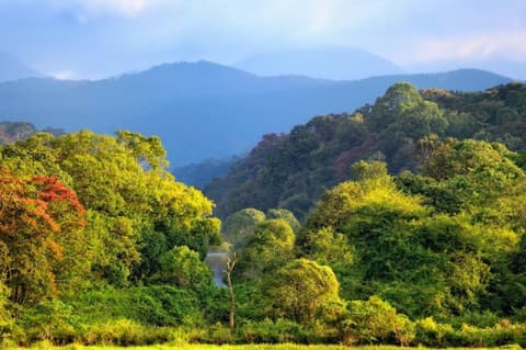 Triángulo dorado con la ciudad de los lagos de Udaipur, Supersaver