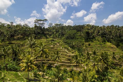 Enchanting of Bali, Private Tour