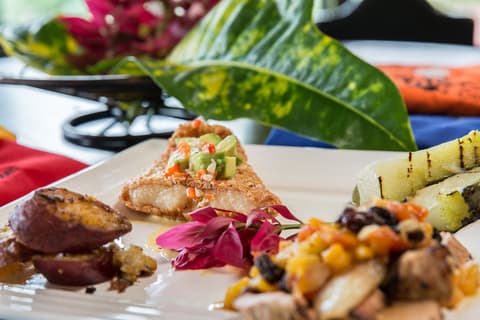 Jungle & Culinary Experience