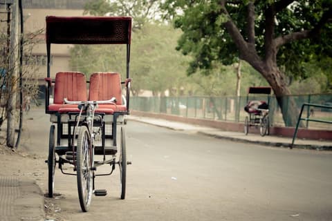 Highlights of Northern India, German-speaking guide