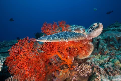 Scoperta privata di 2 giorni a East Bali