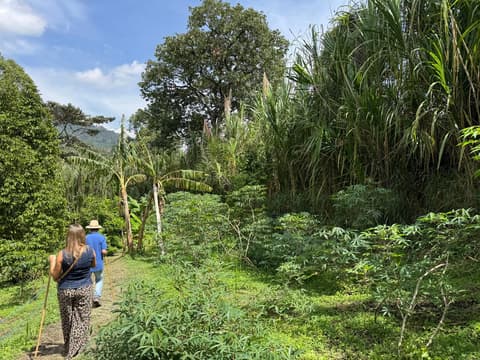 6-Day Medellín Coffee Experience, Private Tour