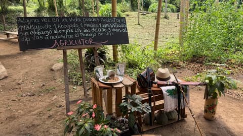 6-Day Medellín Coffee Experience, Private Tour