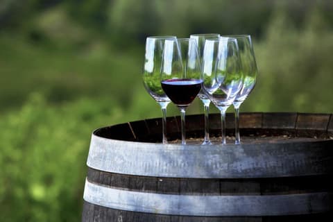 Joyas de Roma y Florencia, Tour Semiprivado