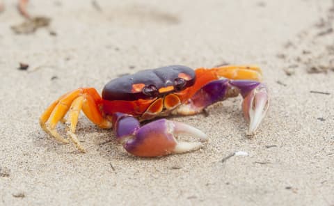 Beaches and Nature with Tambor, Self-drive