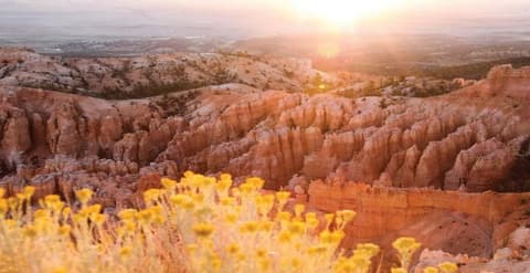 East West Adventure - Hotel in Downtown Los Angeles