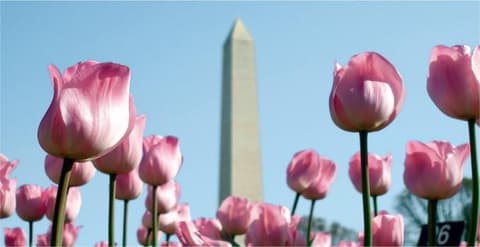 East West Adventure - Hotel in Downtown Los Angeles