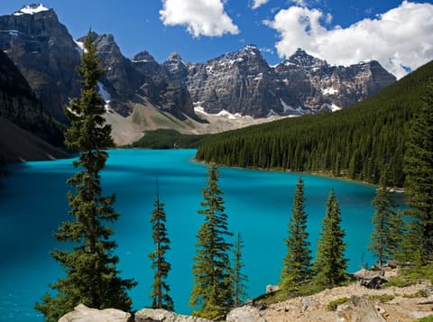 Costa a Costa 14 Noches