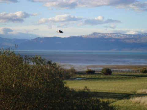 Argentina e Cile Gran Tour con Valdes