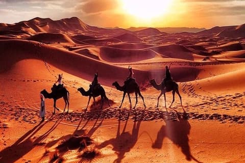 Discover Dubai & Abu Dhabi