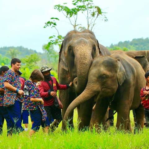 Bangkok - Chiang Mai
