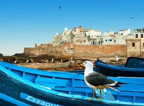 Citta Imperiali & Deserto Agafay da Casablanca