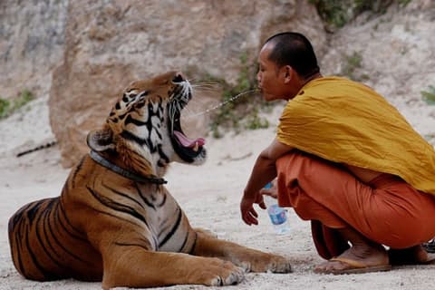 From Bangkok to Khao Sok