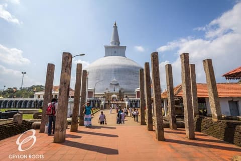 Tour privato in Srilanka di 8g/7n incluso Yala Park