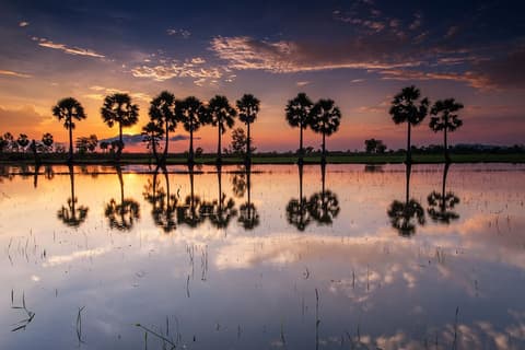 Classic Vietnam - From North To South & Transfer to Phnom Penh - Departure on Monday