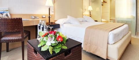 Hotel Barceló Aran Mantegna, 