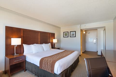 Comfort Inn by the Bay, Room