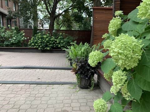 Pembroke Inn, Garden