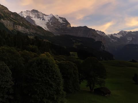 Beausite Park Hotel & Spa, Room