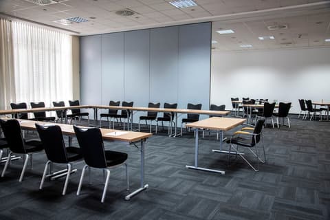 Best Western Conference Airporthotel Frankfurt Mörfelden, Meeting facility