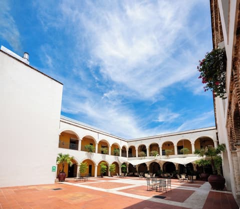 Hodelpa Nicolas de Ovando, Terrace/patio