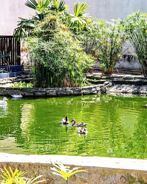 Hotel Espelho D’Água Arraial Beach Club, Exterior