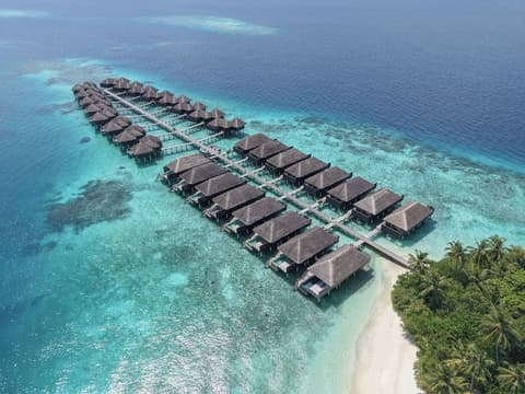 Coco Bodu Hithi, Room