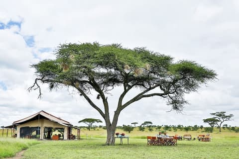 Pumzika Luxury Safari Camp - East Africa Camps, View from room