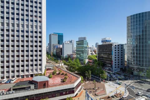 Hotel Monterey Le Frere Osaka, View from room