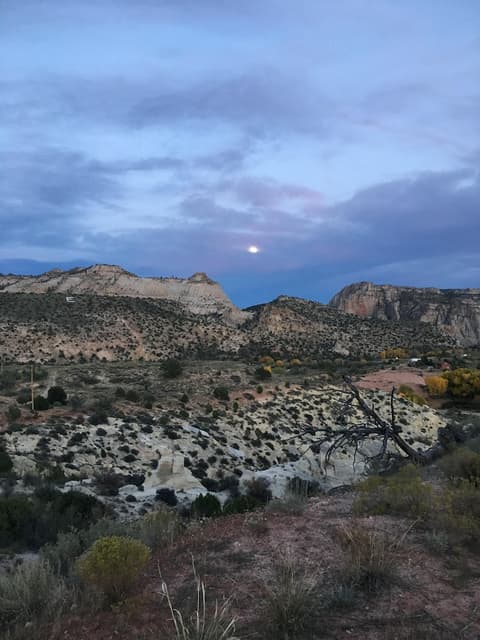 Escalante Yurts, View from room