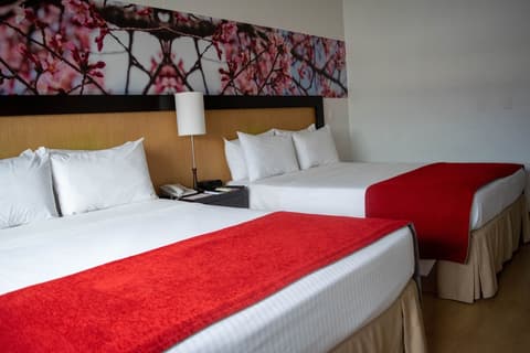 Mi Hotel Sandiego, Room