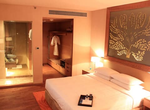 Radisson Blu Hotel New Delhi Dwarka, Room