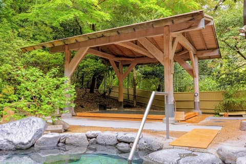 Yumoto Fujiya Hotel, Hot springs