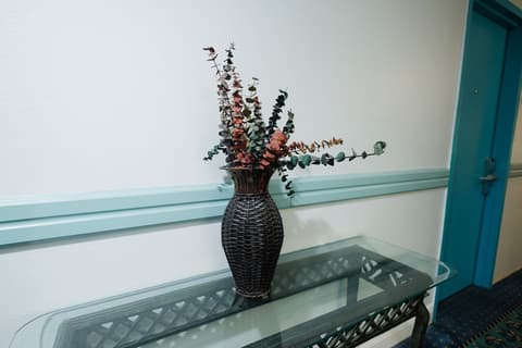 Garnet Inn & Suites, Orlando, Interior entrance