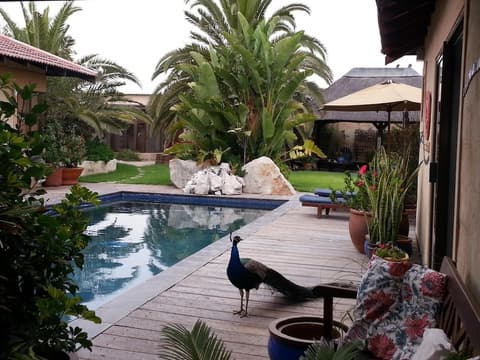 Gecko Ridge Guest House, Pool