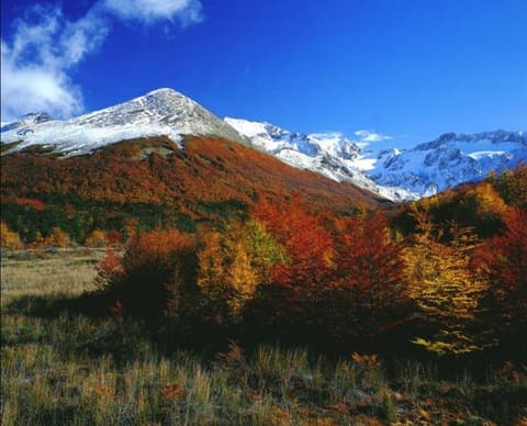 Arakur Ushuaia Resort & Spa, Snowshoeing