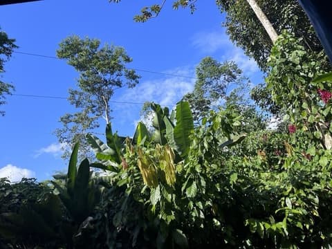 Chilamate Rainforest Eco-retreat, Room