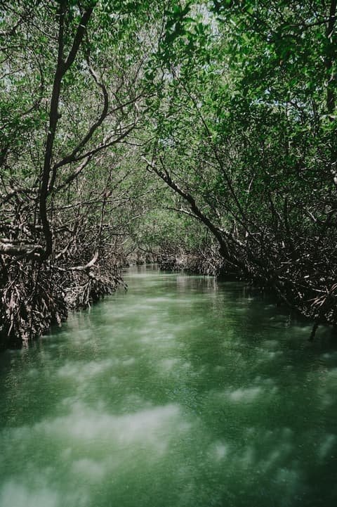 HOTEL ICARAI BEACH, Beach